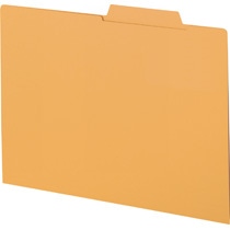 ライオン事務器　個別フォルダー　エコノミータイプ／見出し部補強加工　A4　金茶　A4-IF2-Y　1パック（10冊）（ご注文単位1パック）【直送品】