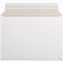 TANOSEE　ビジネス封筒　角2　330×240mm　310g／m2　1パック（25枚）（ご注文単位1パック）【直送品】