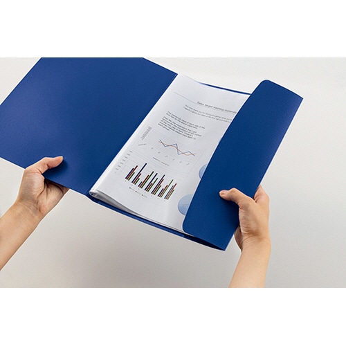 ライオン事務器　クリアーブック（ビジカル）　A4タテ　10ポケット　背幅4mm　ブラック　CR-10B　1冊（ご注文単位1冊）【直送品】