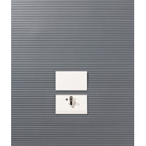 ライオン事務器　名札　ハードタイプ　クリップ・安全ピン付　N31K-10P　1パック（10個）（ご注文単位1パック）【直送品】