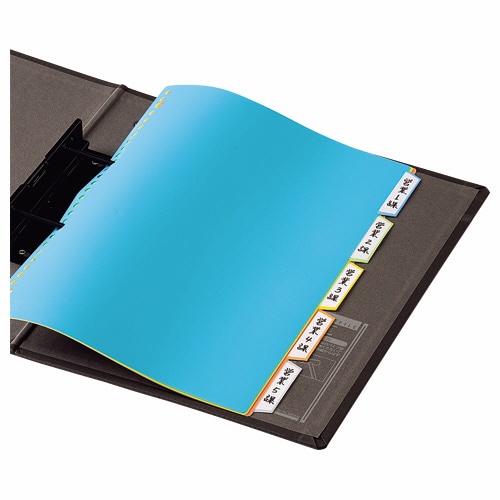 ライオン事務器 PPカラーインデックス A4タテ 2・4・30穴 5色5山 CI-53PC 1組(ご注文単位1組)【直送品】