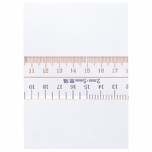 ライオン事務器 アクリル直線定規 30cm No.10 1本(ご注文単位1本)【直送品】