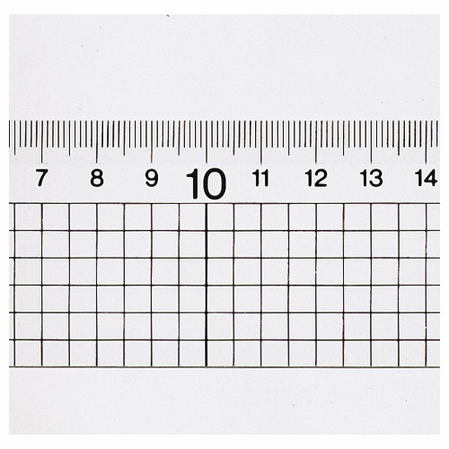 ライオン事務器 ハイカットスケール 30cm HC-30 1個(ご注文単位1個)【直送品】