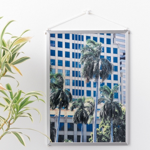 ライオン事務器　ポスターパネル　ライト　B1　外寸1037×735mm　FL-B1　1枚（ご注文単位1枚）【直送品】