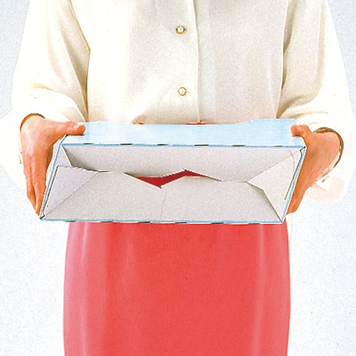 ライオン事務器 ボックスファイル ダンボール製 A4ヨコ 背幅78mm 黄 No.1080E 1冊(ご注文単位1冊)【直送品】