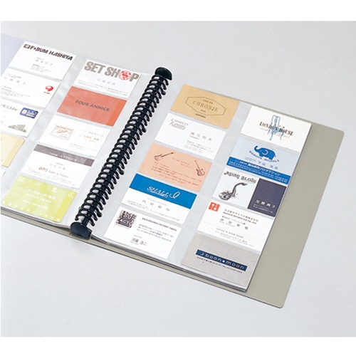 ライオン事務器 名刺ホルダー サイドインタイプ A4タテ 30穴 300枚 ブルー MH-300R 1冊(ご注文単位1冊)【直送品】