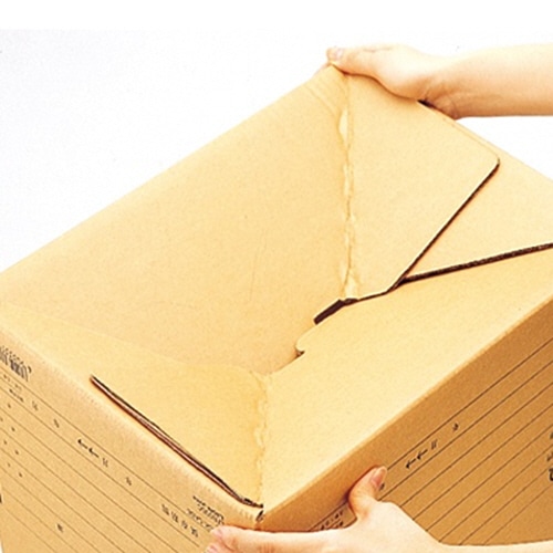 ライオン事務器 ストックケース データファイル11×15用 内寸W426×D318×H309mm SC-3 1個(ご注文単位1個)【直送品】