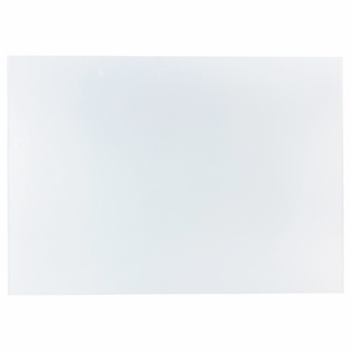 ライオン事務器　PPソフトカードケース　軟質タイプ　B1　B1-SC　1枚（ご注文単位1枚）【直送品】