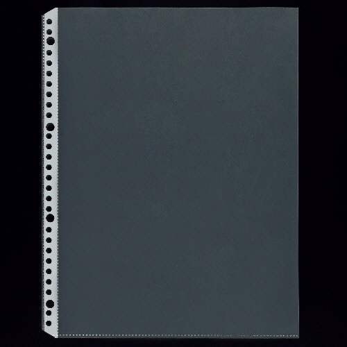 ライオン事務器　クリアーポケット　A4タテ　2・4・30穴　特厚ポケット　台紙なし　CL-303ET　1パック（10枚）（ご注文単位1パック）【直送品】