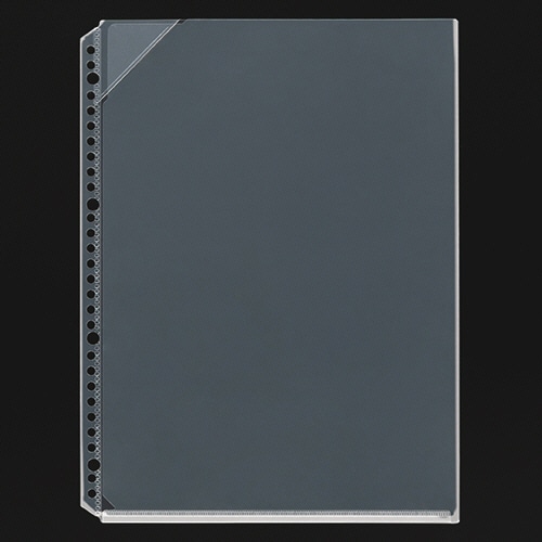 ライオン事務器 ホルダーポケット A4 2・4・30穴 台紙なし HP-303S 1パック(5枚)(ご注文単位1パック)【直送品】