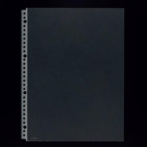 ライオン事務器　クリアーポケット　A4タテ　2・4・30穴　抗菌　台紙なし　CL-303AB　1パック（10枚）（ご注文単位1パック）【直送品】