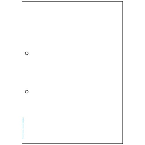ヒサゴ　マルチプリンタ帳票　抗菌タイプ　A4　白紙　2穴　BPK2001　1冊（50枚）（ご注文単位1冊）【直送品】