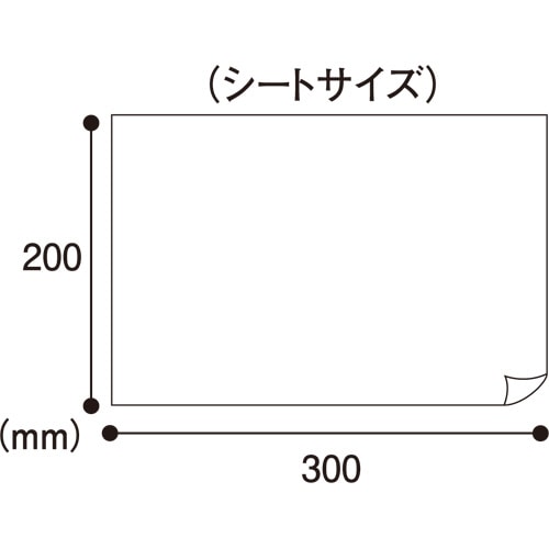 ペーパーテック　大人用からだ拭き　1パック（50枚）（ご注文単位1パック）【直送品】