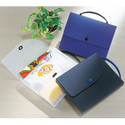 ライオン事務器　デザインケース　A4　ダークブルー　DS-253　1個（ご注文単位1個）【直送品】