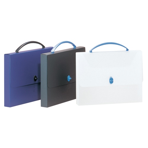 ライオン事務器 デザインケース A4 ブラック DS-253 1個(ご注文単位1個)【直送品】