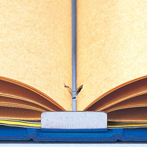 ライオン事務器 スクラップブック 台紙差替式 A4タテ クラフト台紙32枚付 背幅30mm 青 No.650 1冊(ご注文単位1冊)【直送品】