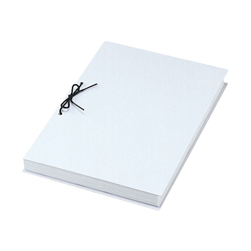 ライオン事務器　板目表紙　美濃判　CS-395T　1パック（100枚）（ご注文単位1パック）【直送品】