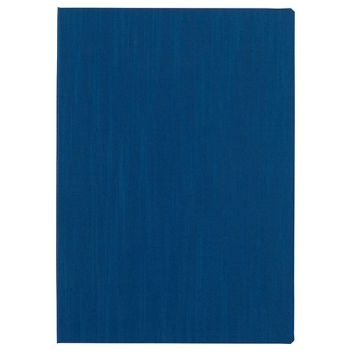 ライオン事務器　証書ホルダー　A4タテ　ブルー　No.454N　1冊（ご注文単位1冊）【直送品】