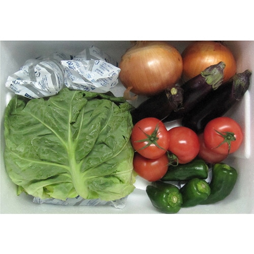 石山 発泡容器 なんでも箱 28.2L ホワイト TI-330RII 1個(ご注文単位1個)【直送品】