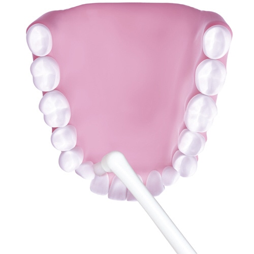 ライオン システマ デンタルタフト 歯周ポケット集中ケア ミディアム 1本(ご注文単位1本)【直送品】