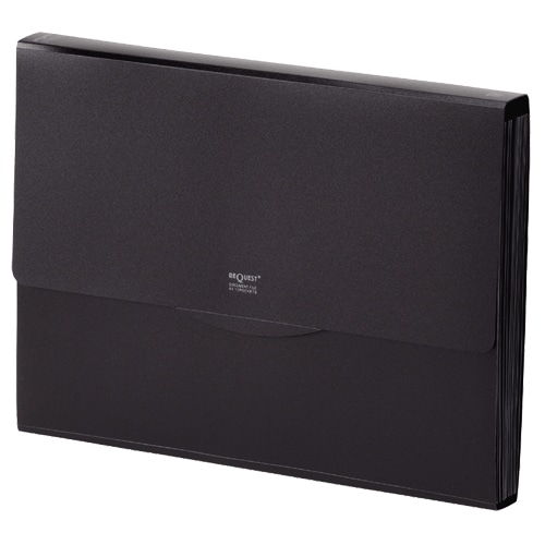 リヒトラブ　リクエスト　不透明ドキュメントファイル　A4　13ポケット　黒　G5800-24　1冊（ご注文単位1冊）【直送品】