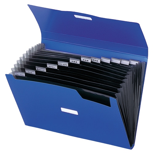 リヒトラブ　リクエスト　不透明ドキュメントファイル　A4　13ポケット　黒　G5800-24　1冊（ご注文単位1冊）【直送品】