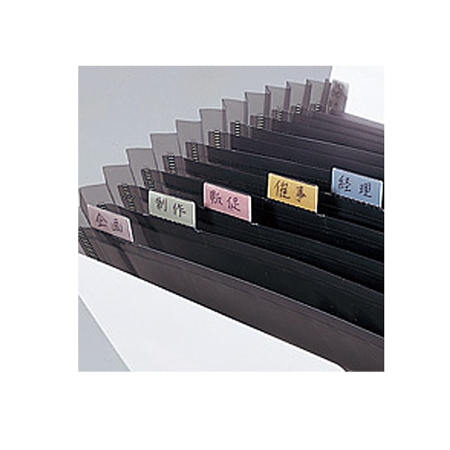 リヒトラブ　リクエスト　不透明ドキュメントファイル　A4　13ポケット　黒　G5800-24　1冊（ご注文単位1冊）【直送品】