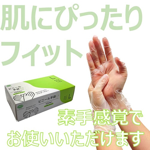 アルフォーインターナショナル　ビニール手袋　パウダーフリー　ナチュラル　L　T-004　1箱（100枚）（ご注文単位1箱）【直送品】