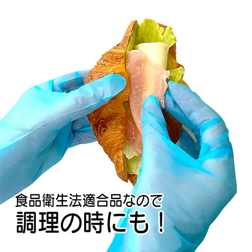 竹虎 タケトラ ポリエチレン手袋 ストレッチタイプ パウダーフリー ブルー L 1箱(100枚)(ご注文単位1箱)【直送品】