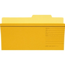 ライオン事務器 個別フォルダー TD用(統一伝票用) TD-IF-R 1セット(10冊)(ご注文単位1セット)【直送品】