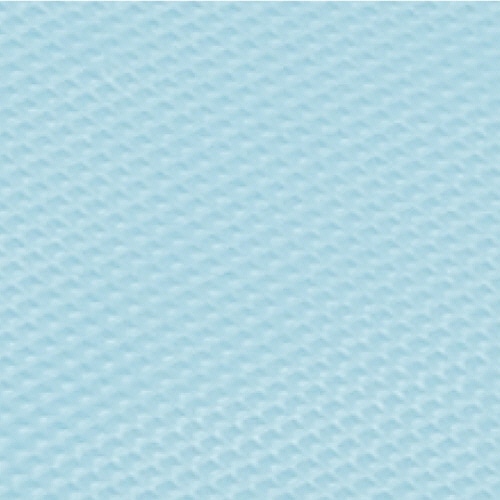 川西工業 ポリエチ袖付エプロン フリーサイズ ブルー 4442 1セット(200枚:10枚×20箱)(ご注文単位1セット)【直送品】