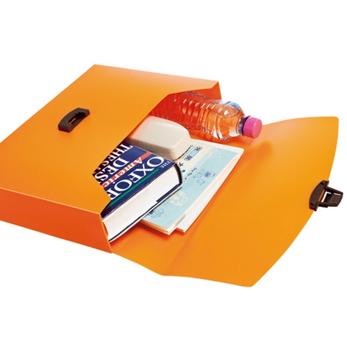 ライオン事務器　キャリングバッグ　イロキャリ　フレッシュキウイ　CA-173FK　1個（ご注文単位1個）【直送品】