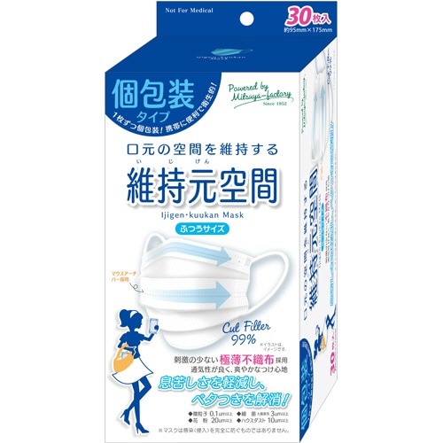 城山衛生材料　維持元空間マスク（個包装タイプ）　ふつうサイズ　MF13　1パック（30枚）（ご注文単位1パック）【直送品】