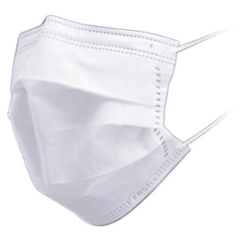 大黒工業 国産2層構造マスク フリーサイズ 1箱(50枚)(ご注文単位1箱)【直送品】