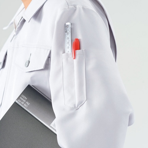 ライオン事務器 ステンレス定規 10cm PS-10 1セット(50本)(ご注文単位1セット)【直送品】