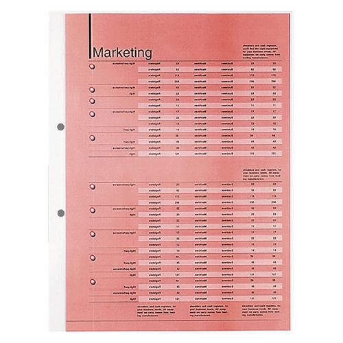 コクヨ A4リフィル 1ポケット A4タテ 2穴 ラ-A21N 1セット(100枚:10枚×10パック)(ご注文単位1セット)【直送品】