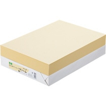 TANOSEE　αエコカラーペーパーII　B4　クリーム　1セット（2500枚：500枚×5冊）（ご注文単位1セット）【直送品】