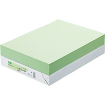 TANOSEE　αエコカラーペーパーII　B4　グリーン　1セット（2500枚：500枚×5冊）（ご注文単位1セット）【直送品】