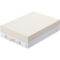 TANOSEE　αエコカラーペーパーII　B4　アイボリー　1セット（2500枚：500枚×5冊）（ご注文単位1セット）【直送品】