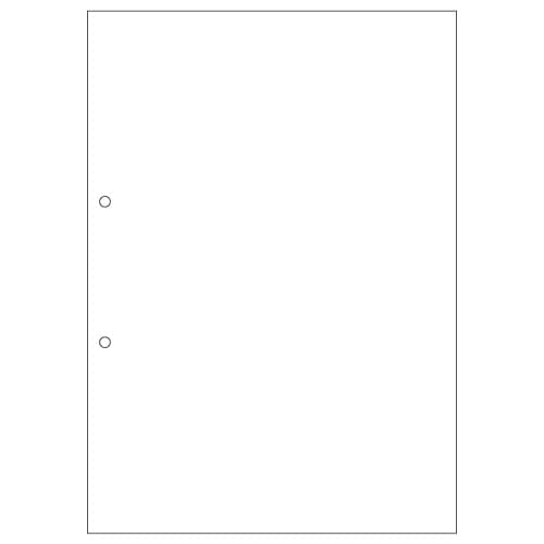 ヒサゴ　マルチプリンタ帳票（森林認証紙）　A4　白紙　2穴　FSC2001　1セット（500枚：100枚×5冊）（ご注文単位1セット）【直送品】