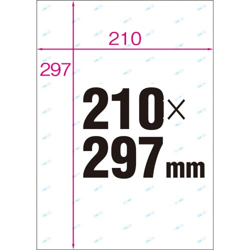 ヒサゴ　抗菌紙ラベル　A4　ノーカット　OPK862　1セット（100シート：20シート×5冊）（ご注文単位1セット）【直送品】