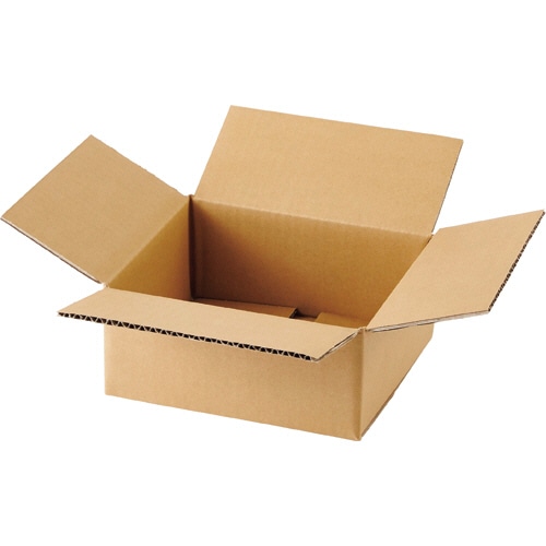 TANOSEE 無地ダンボール箱 A5判対応サイズ 高さ100mm 1セット(60枚:20枚×3パック)(ご注文単位1セット)【直送品】