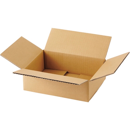 TANOSEE 無地ダンボール箱 B5判対応サイズ 高さ90mm 1セット(60枚:20枚×3パック)(ご注文単位1セット)【直送品】