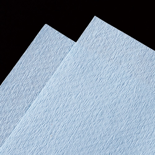 TANOSEE ペーパータオル ハードタイプ・ブルー(エコノミー) 200枚/パック 1セット(210パック:42パック×5ケース)(ご注文単位1セット)【直送品】