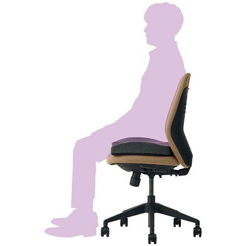 イケヒコ・コーポレーション フィース おしりをサポートするクッション ブラック 1個(ご注文単位1個)【直送品】