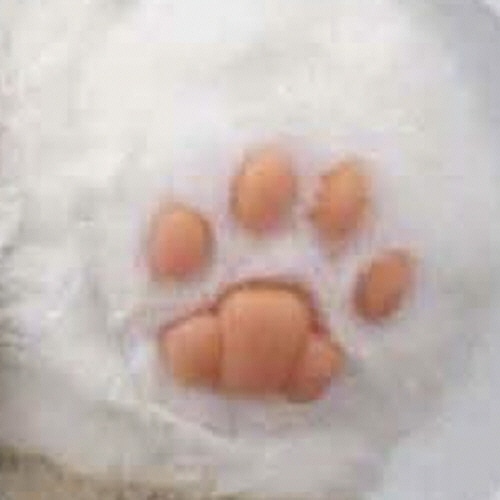 トレンドマスター なでなでねこちゃんEX HG ラグドール 1個(ご注文単位1個)【直送品】