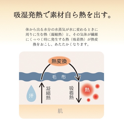大津コーポレーション 吸湿発熱ニューマイヤー毛布 ひざ掛けサイズ ネイビー 3220028F-6 1枚(ご注文単位1枚)【直送品】