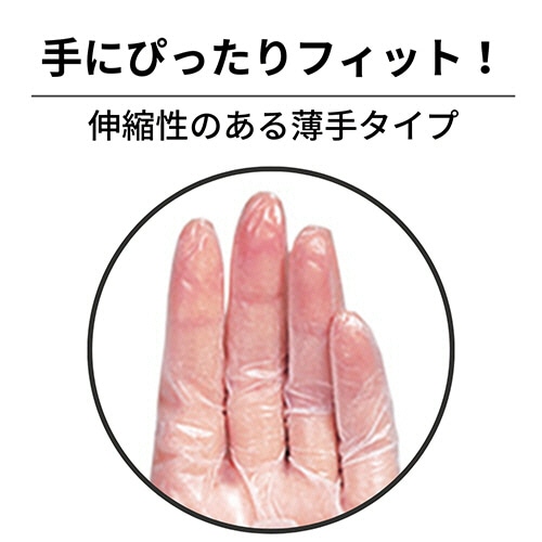 竹虎 タケトラ プラスチック手袋100 パウダーフリー L 1箱(100枚)/ケース(ご注文単位1ケース)【直送品】