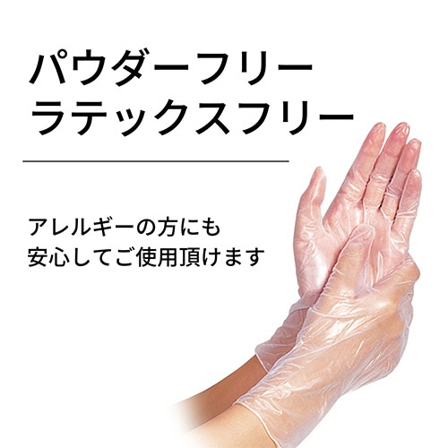 竹虎 タケトラ プラスチック手袋100 パウダーフリー L 1箱(100枚)/ケース(ご注文単位1ケース)【直送品】