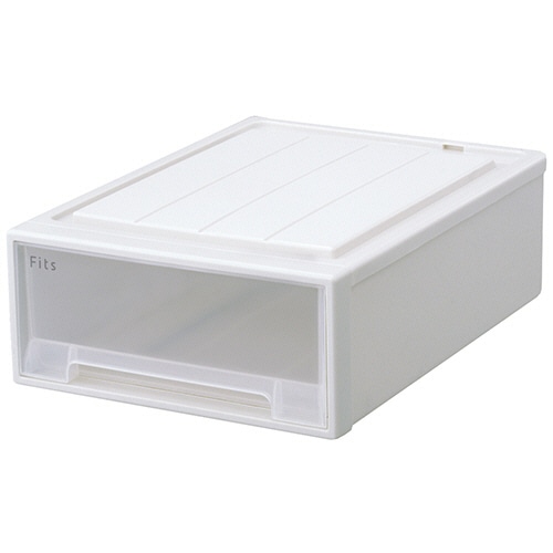 天馬 Fits フィッツケース 53-39S ホワイトクリア 1セット(6個)/セット（ご注文単位1セット）【直送品】